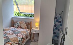 Budget Single Room Only For One Adult - Shared Flat